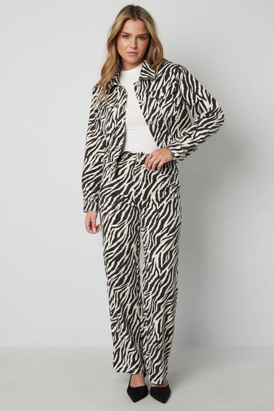 Het zebrajack h5 Afbeelding3